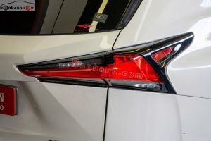 Xe Lexus NX 300 2018