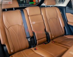 Xe Lexus RX 300 2020