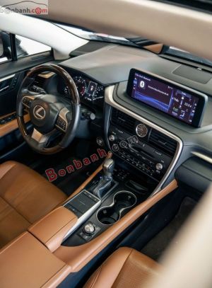 Xe Lexus RX 300 2020