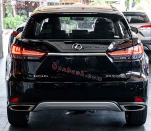 Xe Lexus RX 300 2020