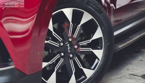 Xe Kia Carnival Signature 2.2D 2024