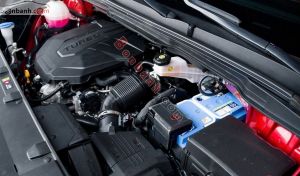 Xe Kia Carnival Signature 2.2D 2024